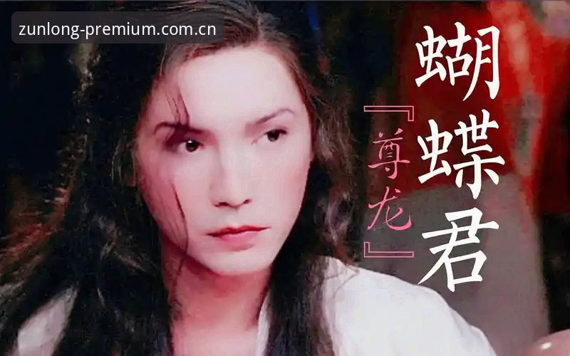尊龙最新版本攻略：2024功能升级与用户体验实证分析