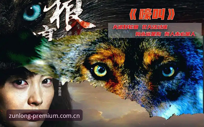 突破游戏边界：资深用户李娜分享尊龙平台入口创新体验心得